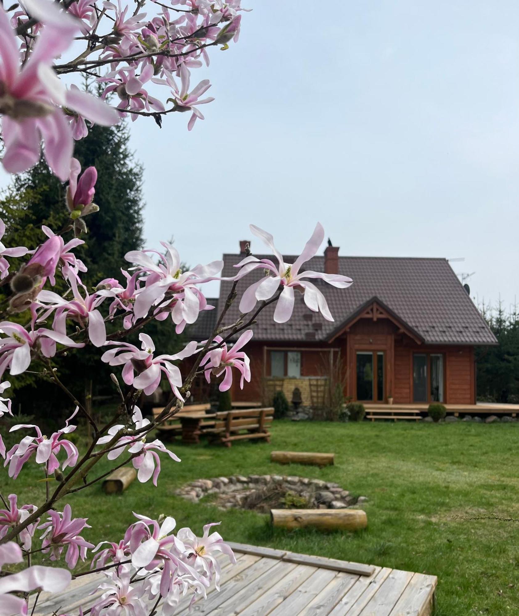 Villa Drewniany Dom W Cudownej Okolicy "Twoja Ostoja" Brusy Exterior foto
